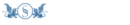 Rechtsanwalt Ali Reza Shahrudi