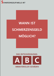 ebook-wann-schmerzensgeld