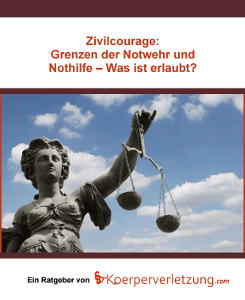 E-Book: Grenzen der Zivilcourage